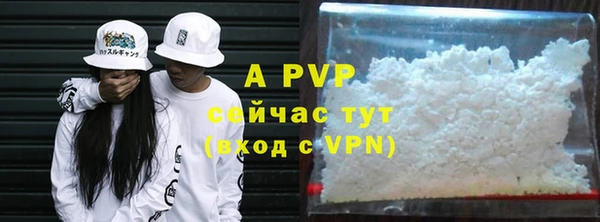 PSILOCYBIN Балахна