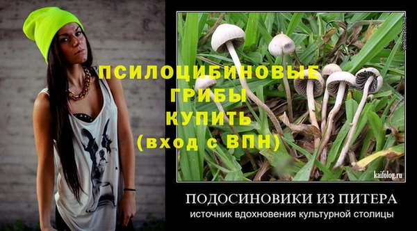 альфа пвп Медвежьегорск