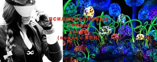 PSILOCYBIN Балахна