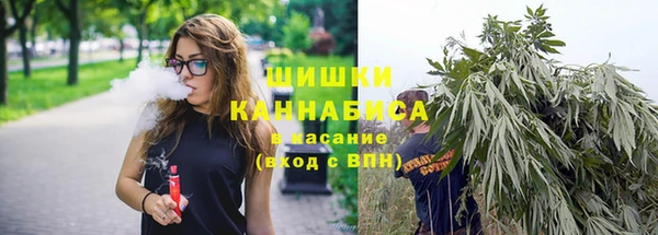 PSILOCYBIN Балахна