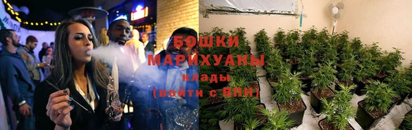 PSILOCYBIN Балахна